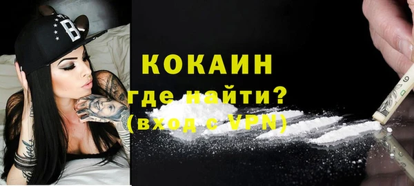 гашик Арсеньев