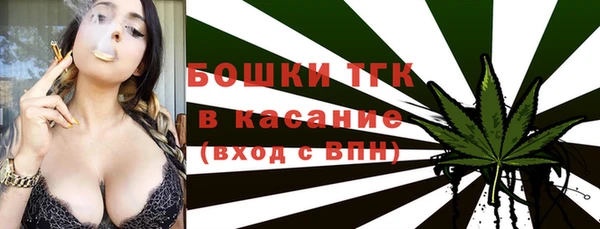 гашик Арсеньев