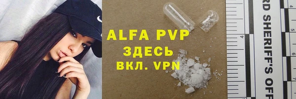 гашик Арсеньев