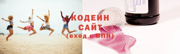 гашик Арсеньев