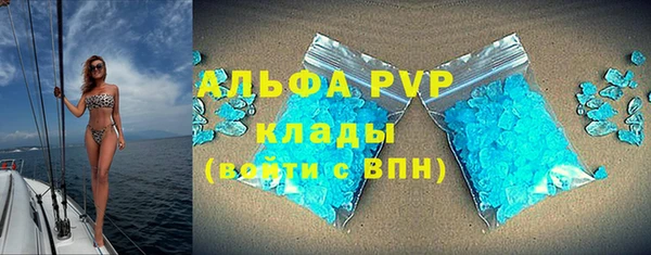 гашик Арсеньев