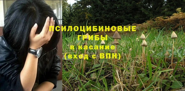 гашик Арсеньев
