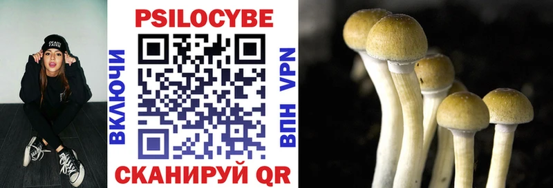 закладка  Талица  Псилоцибиновые грибы прущие грибы 